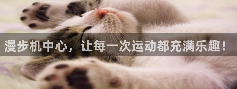 tp官方正版app娱乐网站:漫步机中心,让每一次运动都充满乐