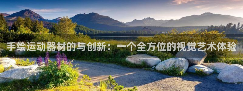 tp官方正版app集团E.ON:手绘运动器材的与创新:一个全