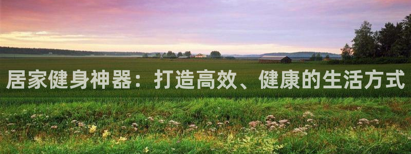 tpwallet官网下载:居家健身神器:打造高效、健康的生活